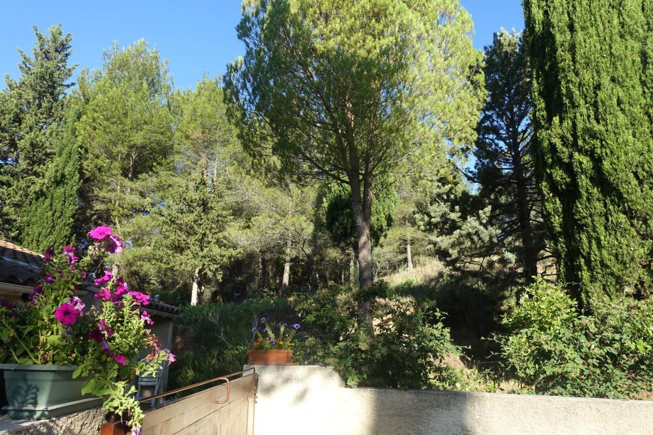 Gite Du Fenouil Lézignan-Corbières Dış mekan fotoğraf